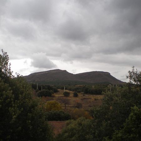 Vivienda Turistica El Ciclamen Appartement Mora de Rubielos Buitenkant foto